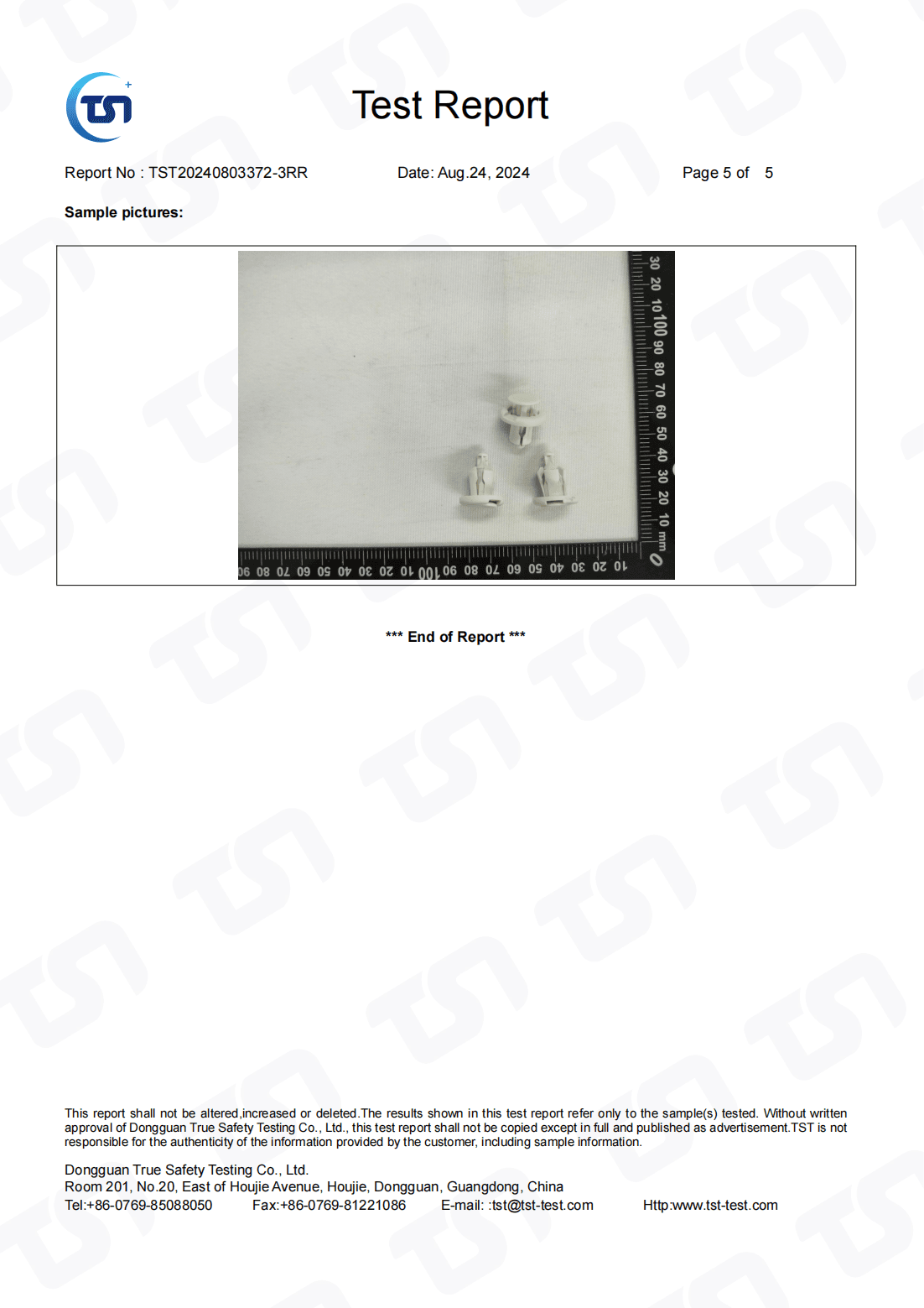 REACH Certificate 2