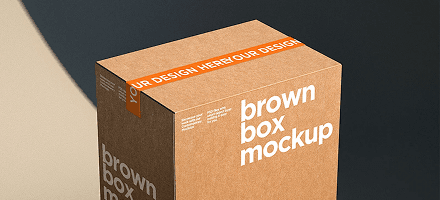 Packaging Design Support